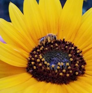 Meet your Posher, Kori